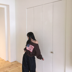 アメリカンワンオフトレーナー(6color) BROWN