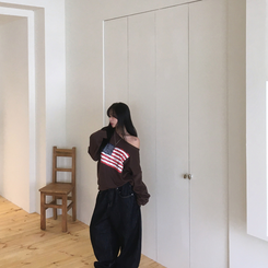 アメリカンワンオフトレーナー(6color) BROWN