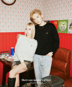 【単独制作/特価】oluデイリーラウンドネック、Vネック2種ニット IVORY(R-neck)