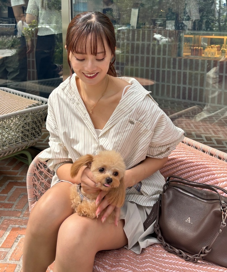 투웨이 스트라이프 셔츠 크림베이지