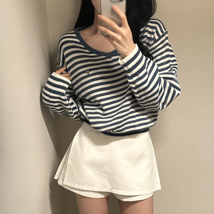 ボーダーVネックニット BLUE