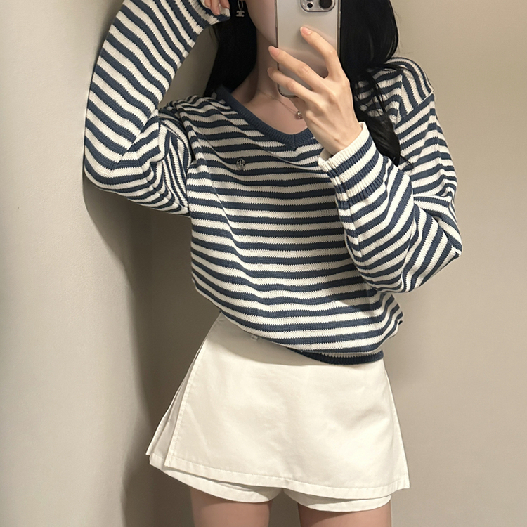 ボーダーVネックニット BLUE