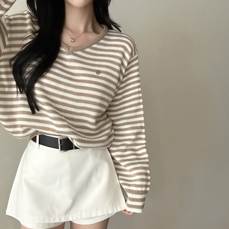 ボーダーVネックニット BEIGE