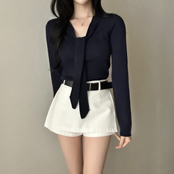 【タイ付き】ロイヤルVネックニット(5color) NAVY