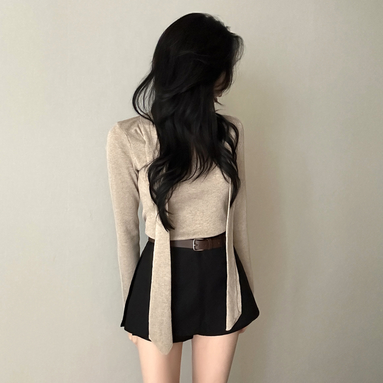 【タイ付き】ロイヤルVネックニット(5color) BEIGE