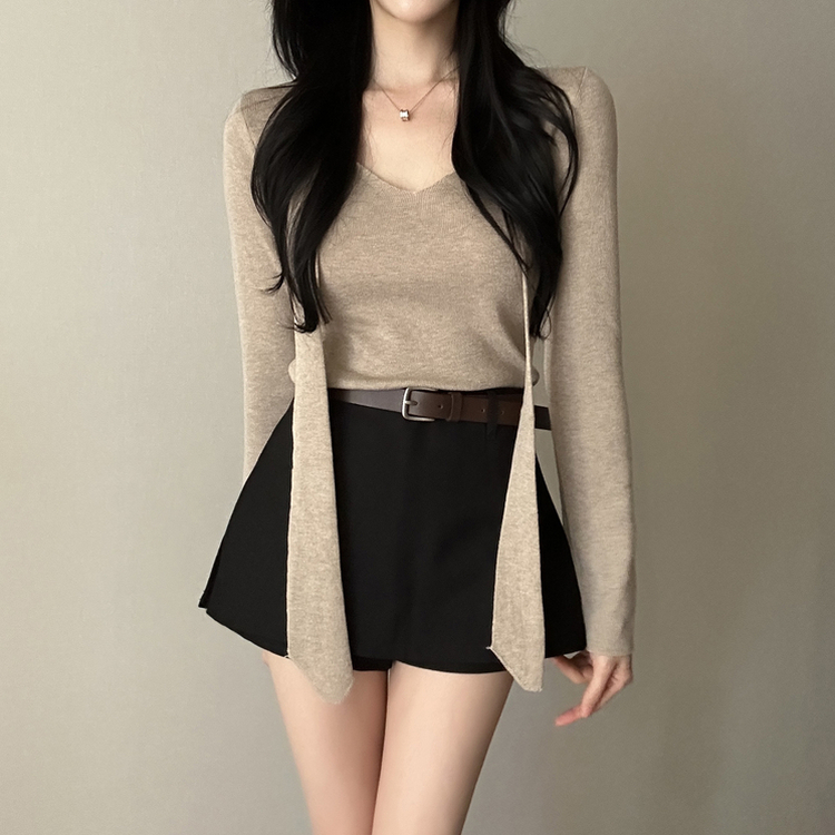 【タイ付き】ロイヤルVネックニット(5color) BEIGE