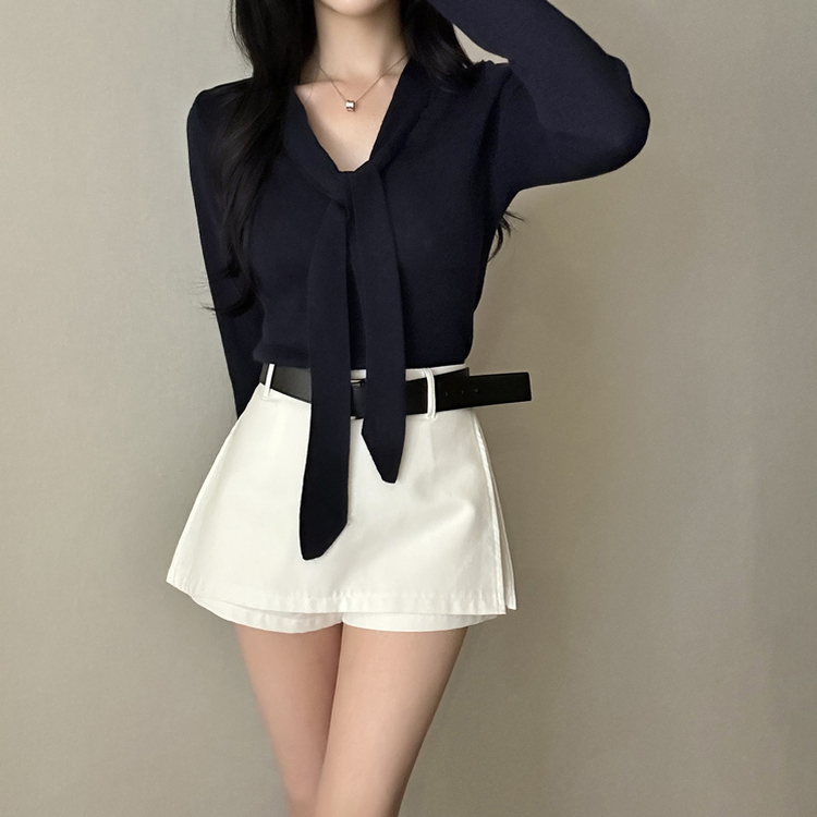 【タイ付き】ロイヤルVネックニット(5color) NAVY