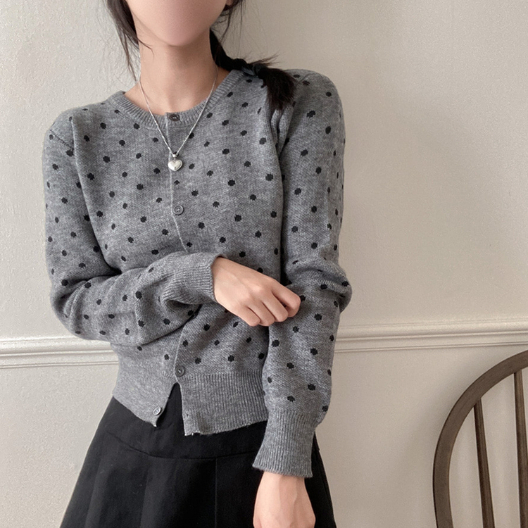애플 도트 라운드넥 니트 가디건 그레이