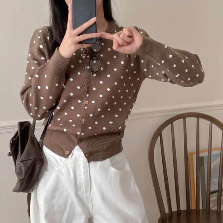 애플 도트 라운드넥 니트 가디건 브라운