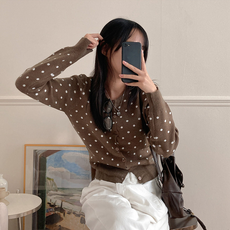 애플 도트 라운드넥 니트 가디건 브라운