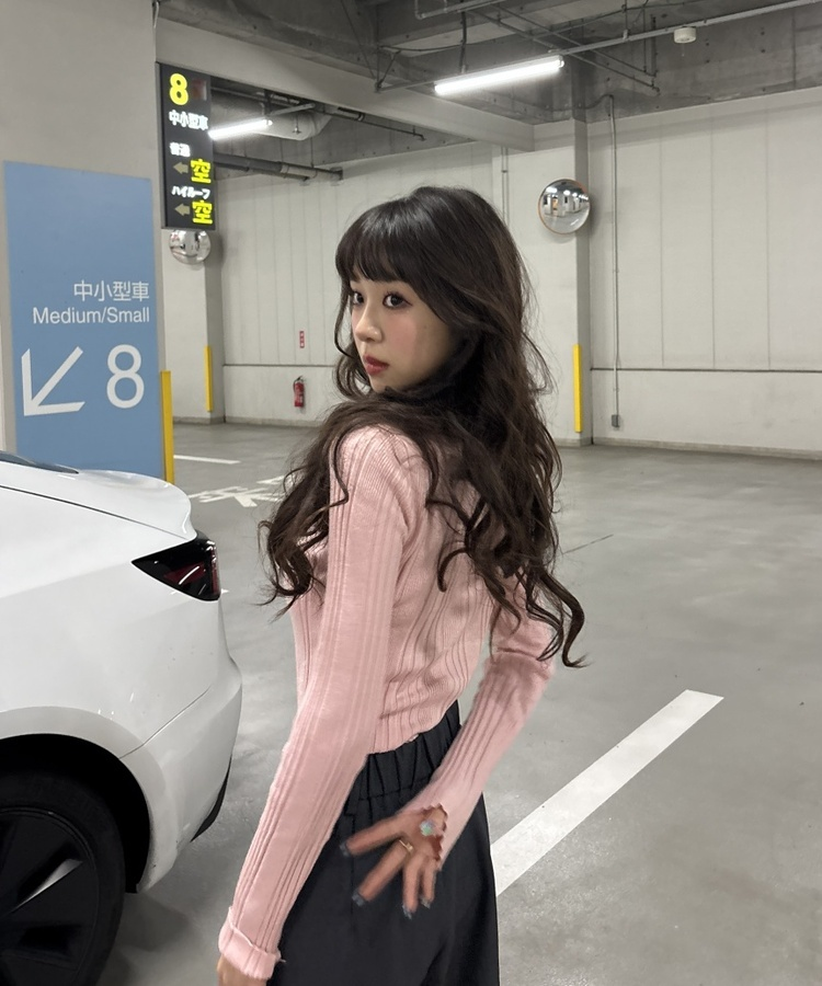 スリムフィットラウンドネックベーシックニット PINK