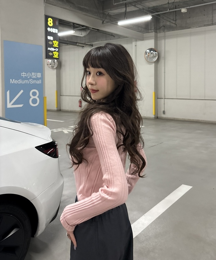 スリムフィットラウンドネックベーシックニット PINK