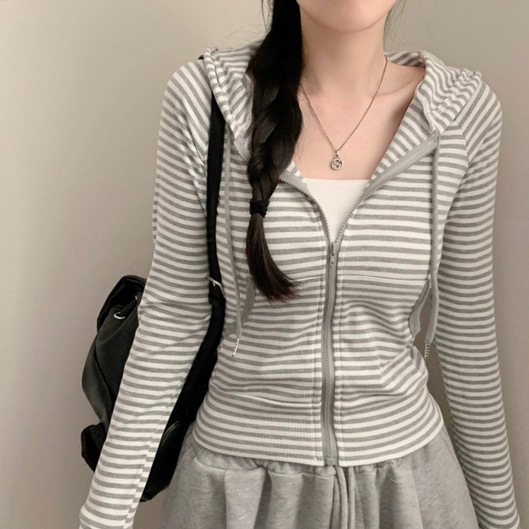 ストライプスリムフードジップアップ GREY