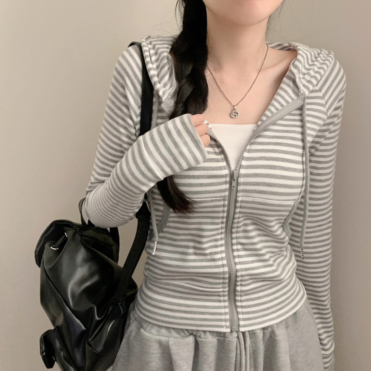 ストライプスリムフードジップアップ GREY