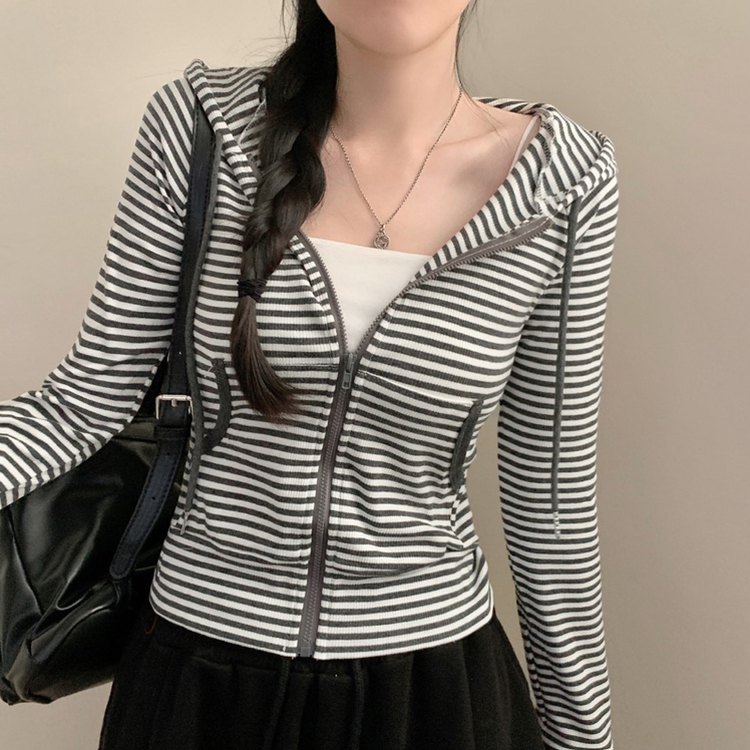 ストライプスリムフードジップアップ CHARCOAL