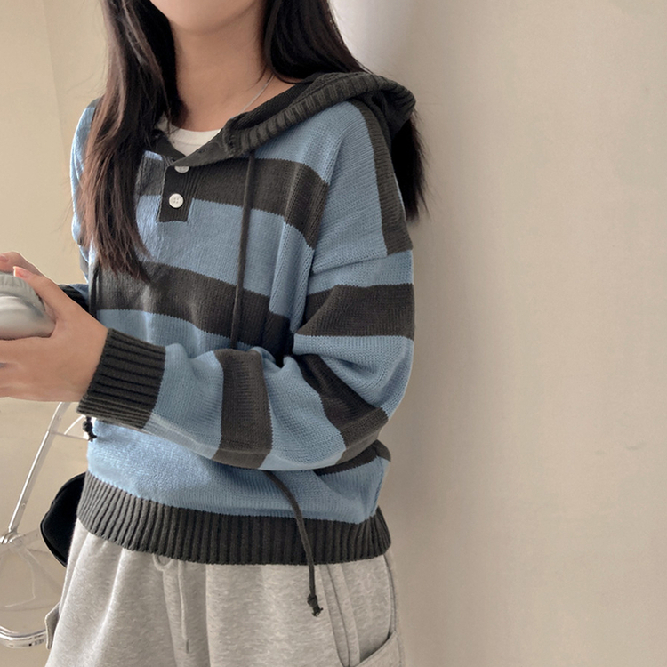 텐리 단가라 배색 스트라이프 버튼 후드 니트 소라