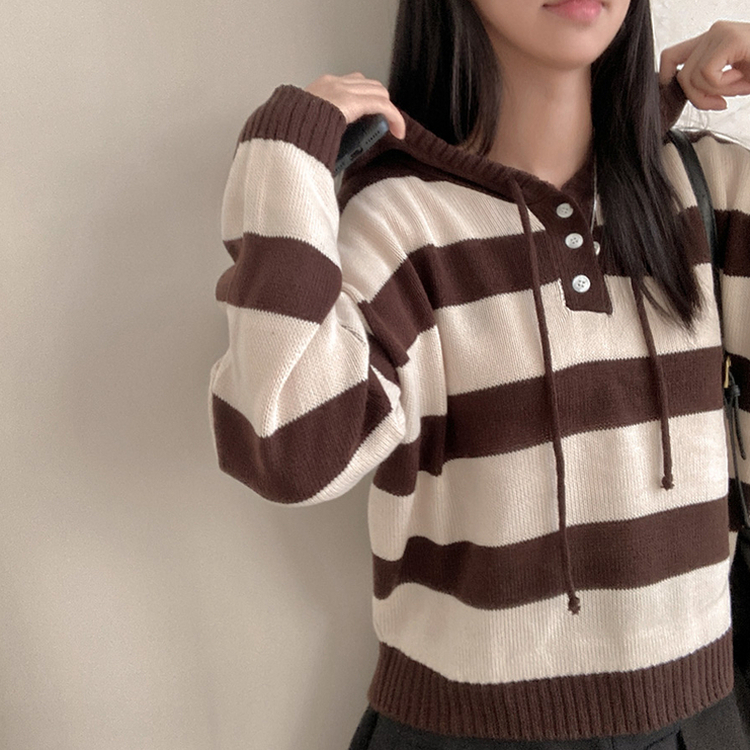 텐리 단가라 배색 스트라이프 버튼 후드 니트 브라운