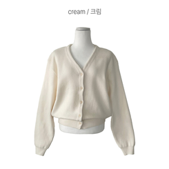 Vネックベージックカーディガン(13color)