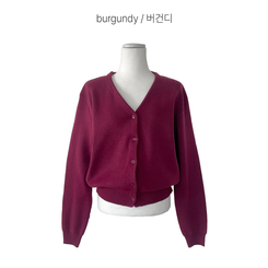 Vネックベージックカーディガン(13color)