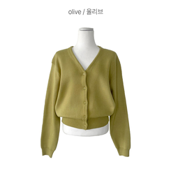 Vネックベージックカーディガン(13color)