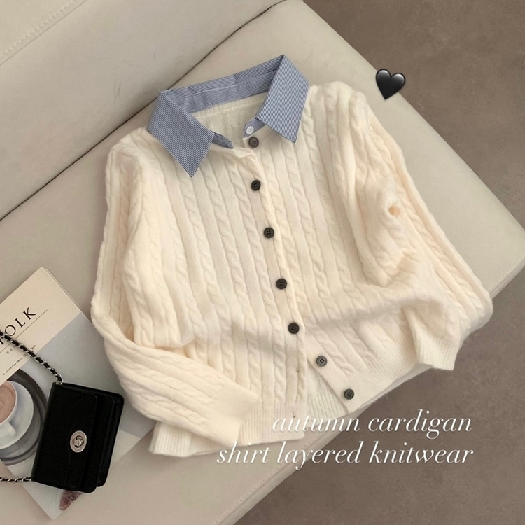 스트라이프 셔츠 카라 레이어드 꽈배기 긴팔 니트 가디건 가을 가을옷 하객룩