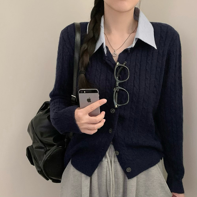 스트라이프 셔츠 카라 레이어드 꽈배기 긴팔 니트 가디건 가을 가을옷 하객룩 곤색