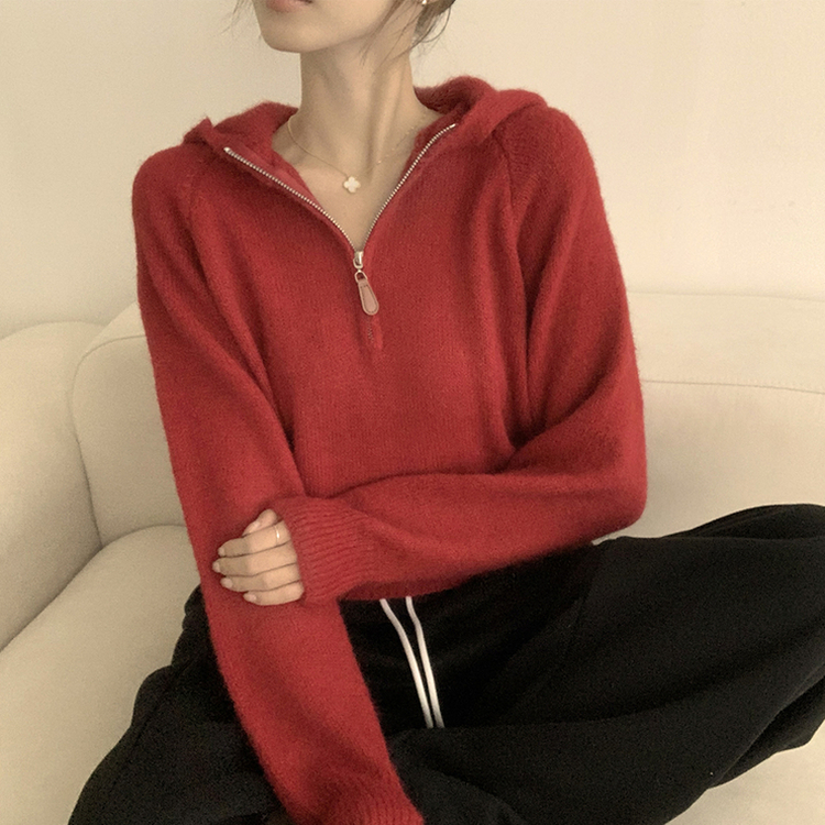 꾸안꾸 무드의 반집업 가을 긴팔 후드 반집업 세미 크롭 니트 레드