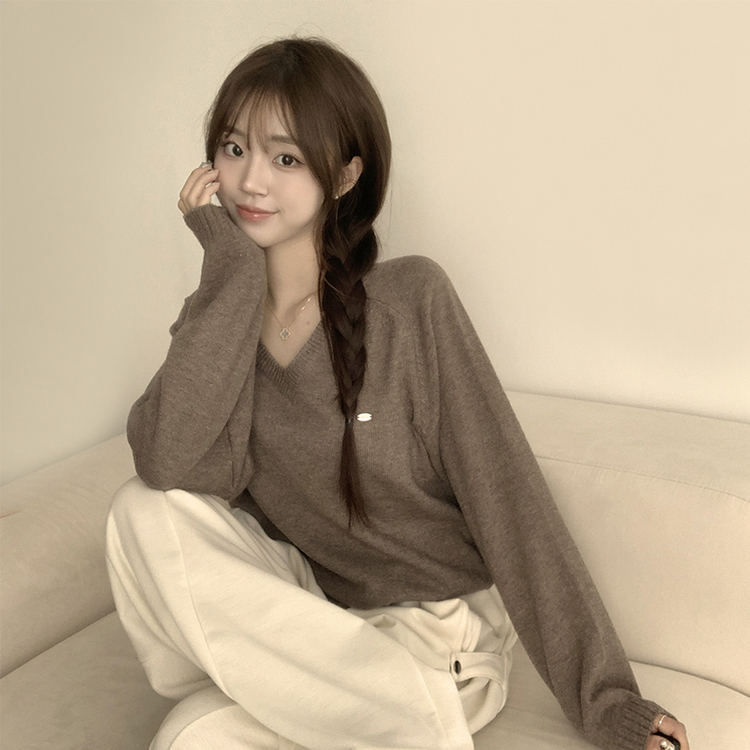 ラグランVネックワッペンニット(6color) BROWN