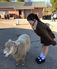 スエードティアードミニスカート BROWN