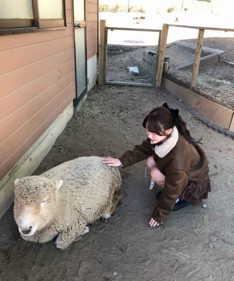 スエードティアードミニスカート BROWN