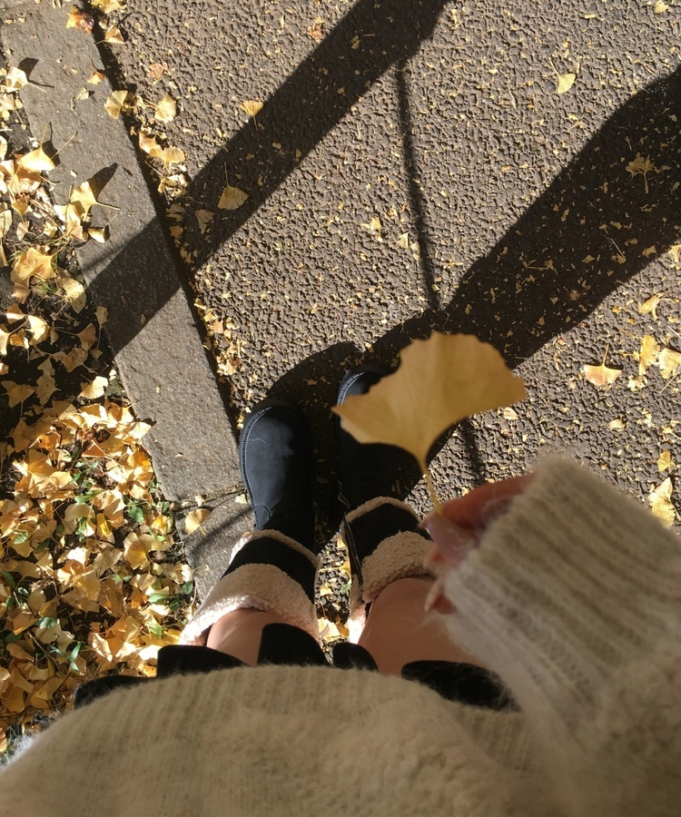 ムートン起毛スエードロングブーツ BLACK