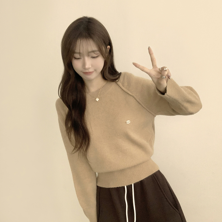 라라 라운드 허리잘록 와펜 가을 긴팔 니트 루즈핏 겨울 상의 데일리 오버핏 긴팔티 베이지