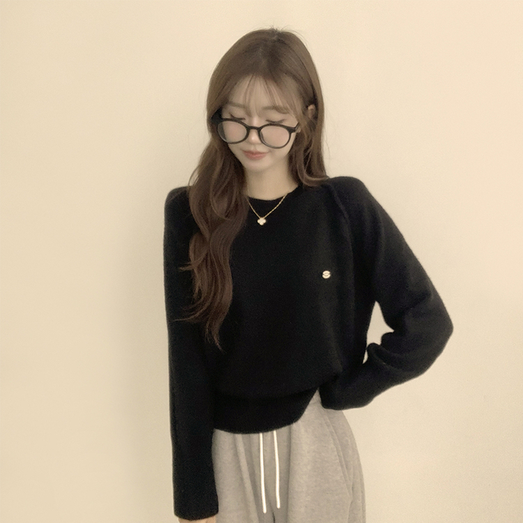 라라 라운드 허리잘록 와펜 가을 긴팔 니트 루즈핏 겨울 상의 데일리 오버핏 긴팔티 블랙