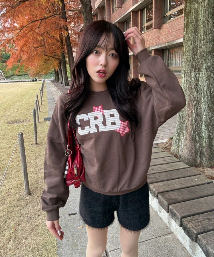 【4次完売❤️MADE】 CRBワッペントレーナー BROWN