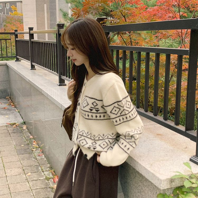 초코 라운드 가을 버튼 노르딕 긴팔 니트 가디건