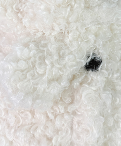 ムードハイネックボタンムートンジャケット