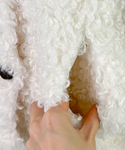 ムードハイネックボタンムートンジャケット