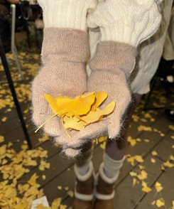 アンゴラニット手袋 DEEP BEIGE