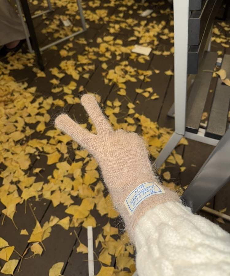 アンゴラニット手袋 DEEP BEIGE