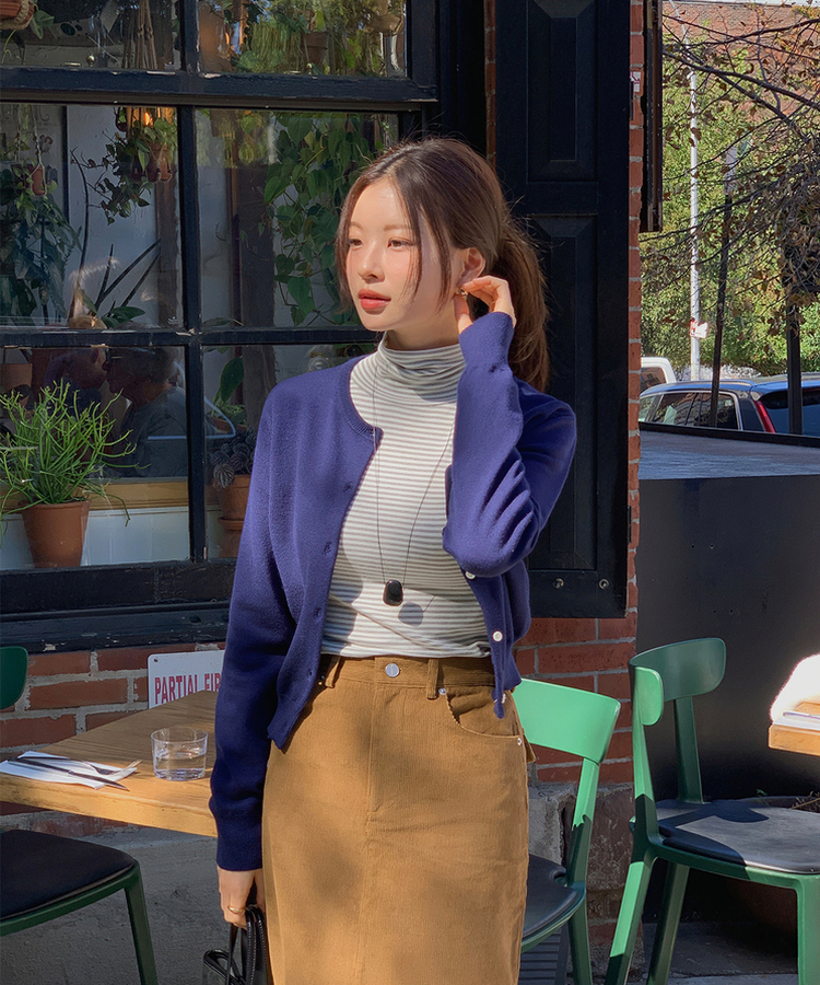 ストライプタートルネックTシャツ IVORY