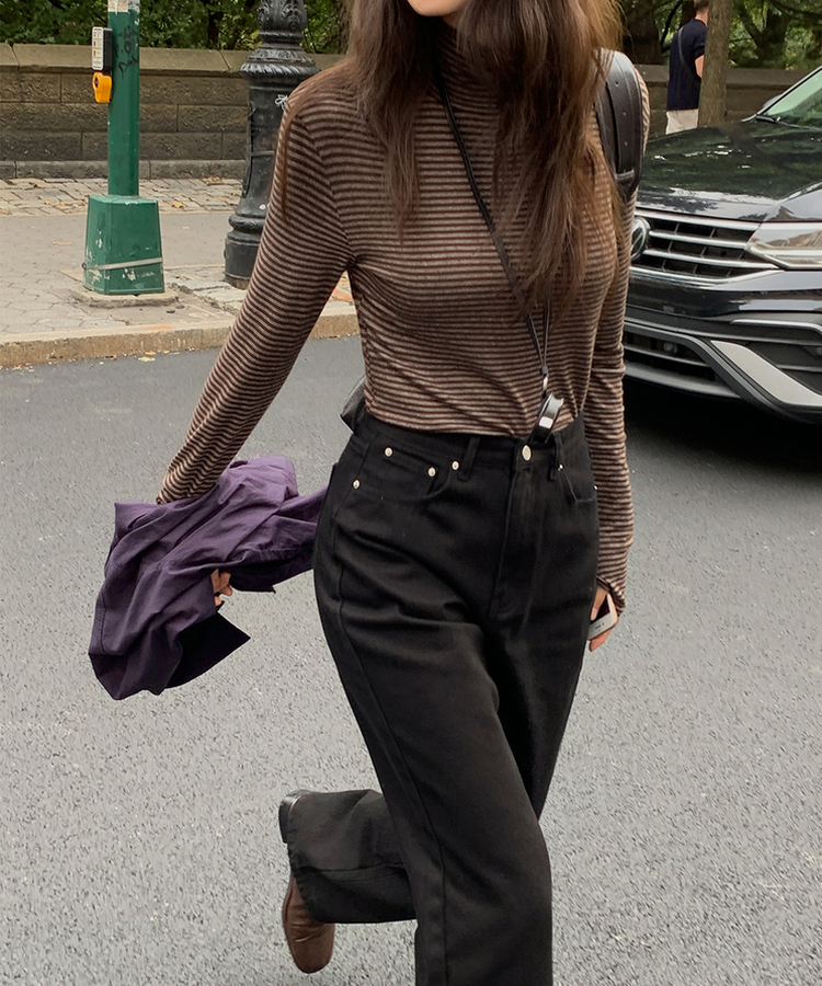 ストライプタートルネックTシャツ BROWN