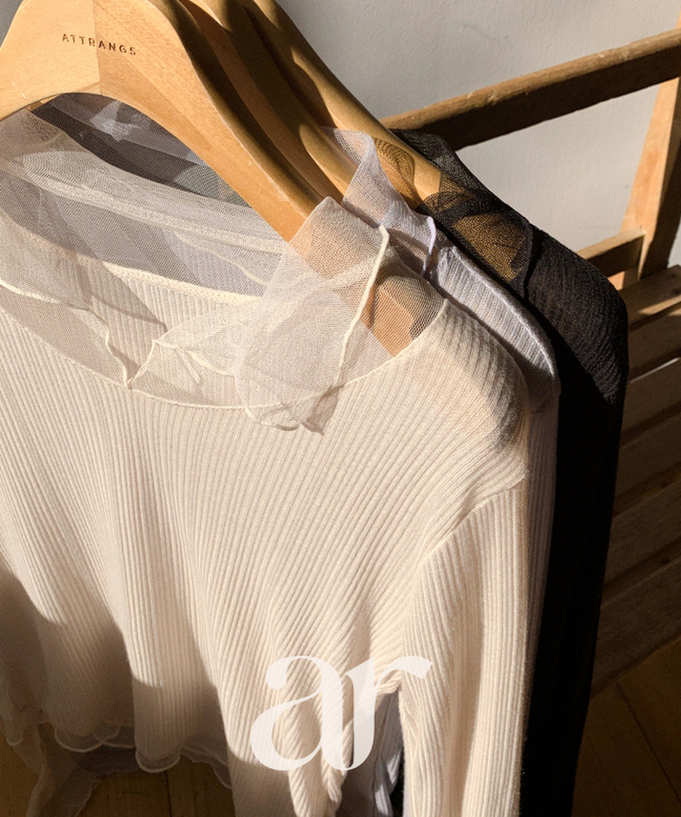 （華奢見えシルエット／伸縮性あり）ヘイラ メッシュカラーロングTシャツ