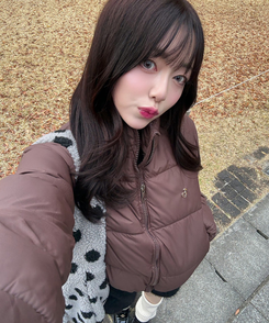 【❤️MADE】 ブローチ付きベーシックショートダウン BROWN