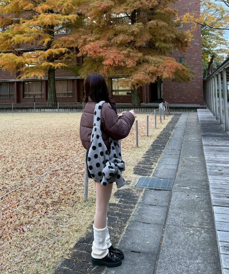 【❤️MADE】 ブローチ付きベーシックショートダウン BROWN