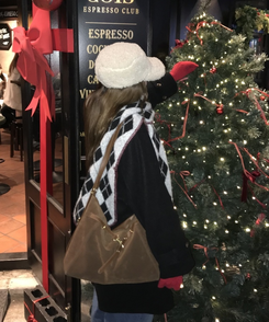 스웨이드 데일리 숄더 크로스백 브라운