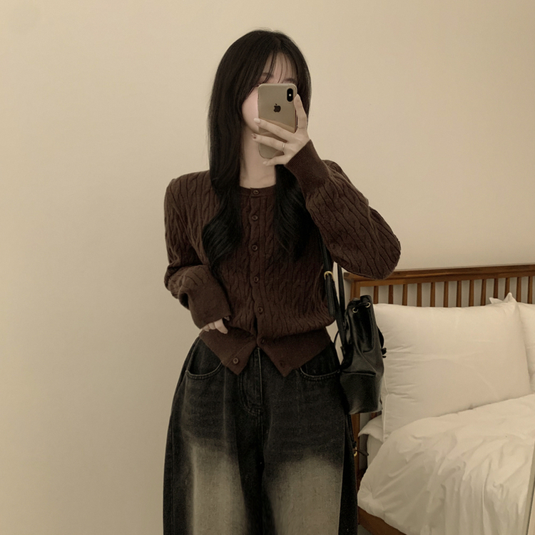 기본가디건 꽈배기 케이블 라운드 세미크롭 겨울 봄 간절기 니트가디건 브라운