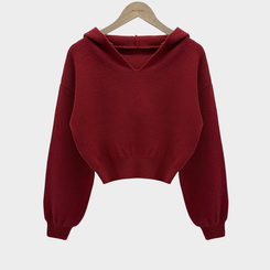 사랑스러운 아방핏베스킨 후드 브이넥 크롭 아방핏 니트