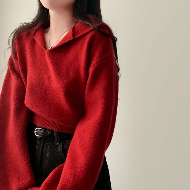 사랑스러운 아방핏베스킨 후드 브이넥 크롭 아방핏 니트 레드