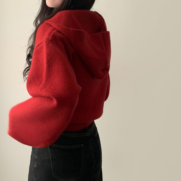 사랑스러운 아방핏베스킨 후드 브이넥 크롭 아방핏 니트 레드