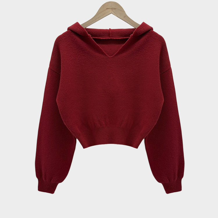 사랑스러운 아방핏베스킨 후드 브이넥 크롭 아방핏 니트